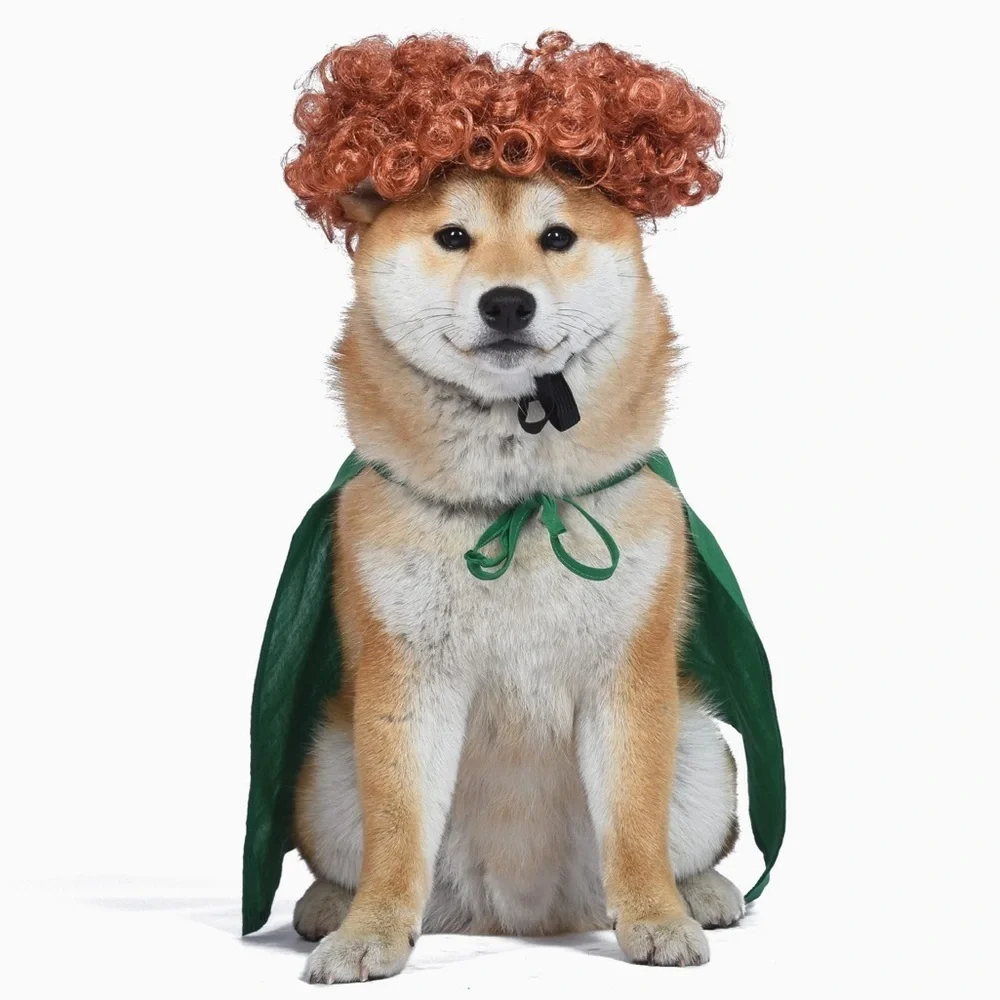 NWT Winifred Halloween Dog Costume